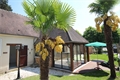 maison-villa à la vente